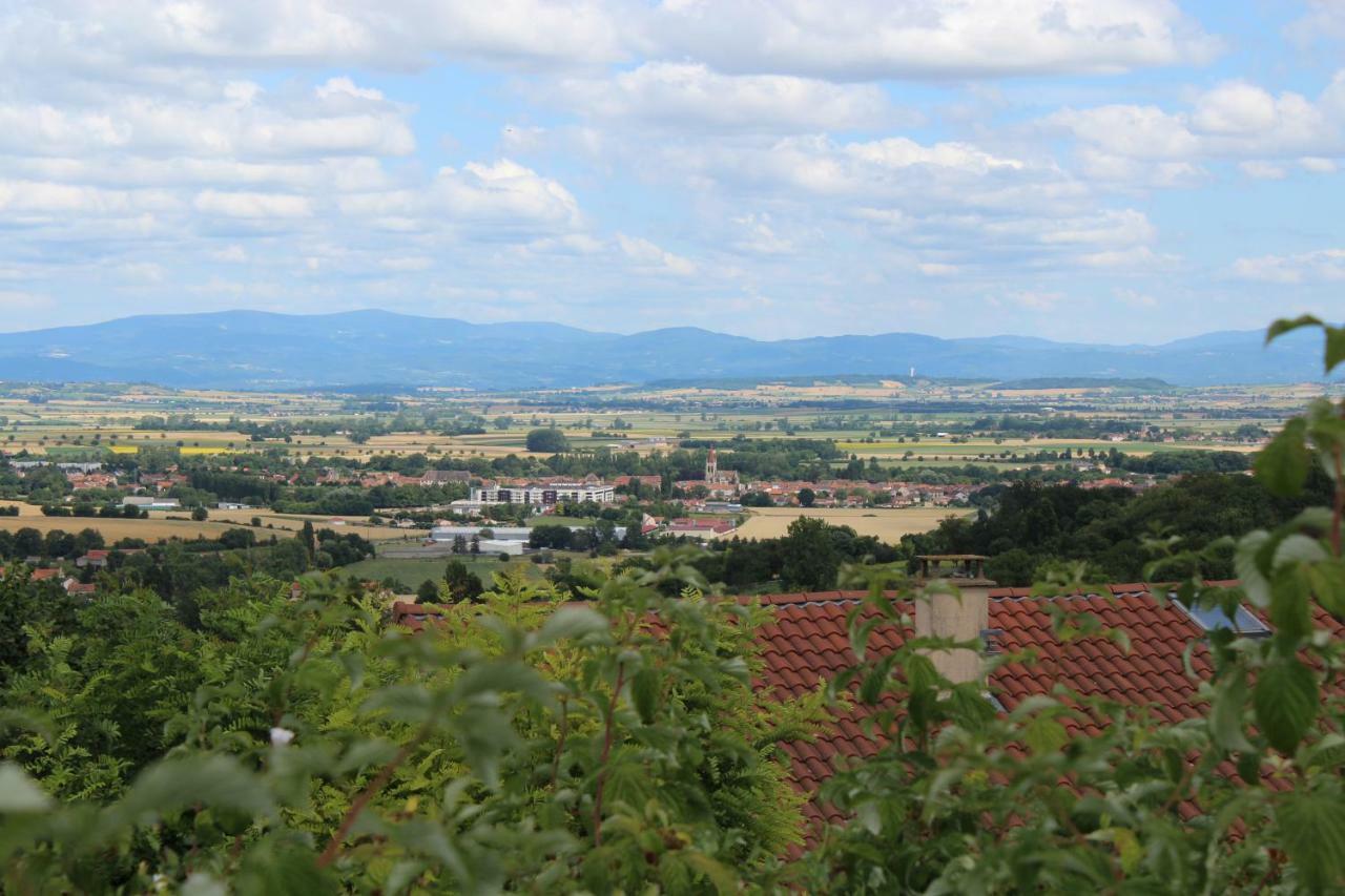 Villa LES MONNATS GITE 8 personnes à la campagne à Chaptuzat Extérieur photo